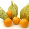 Physalis (Bandeja)