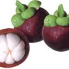 Mangostan (Mangosteen)