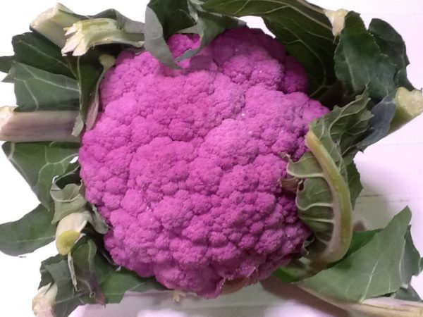 Coliflor Morada