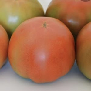 Tomate de Conil ensalada( precio por kilo)