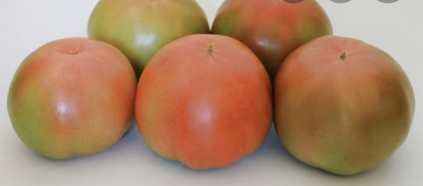 Tomate de Conil ensalada( precio por kilo)